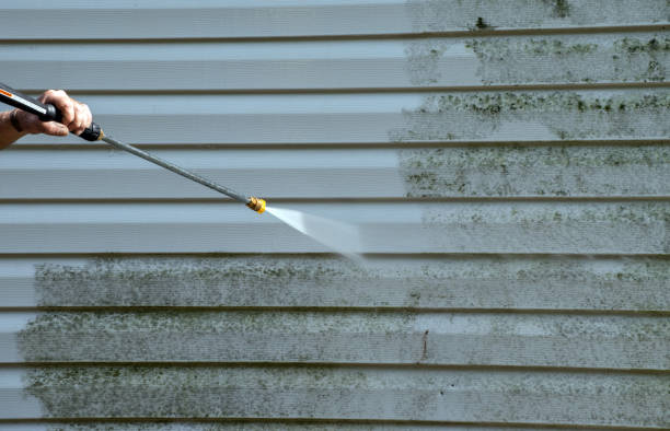 Best Certified Mold Removal  in Richland, MO