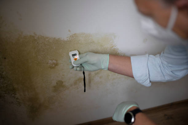 Crawl Space Mold Removal in Richland, MO