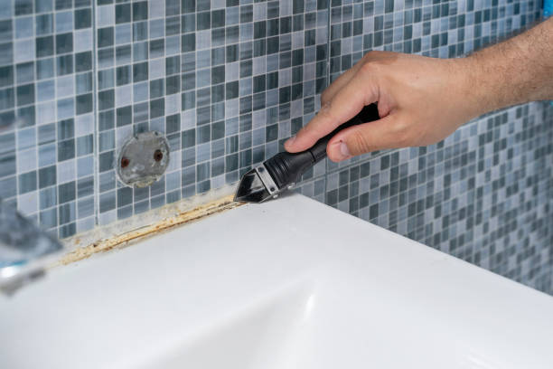 Best Mold Removal and Inspection  in Richland, MO